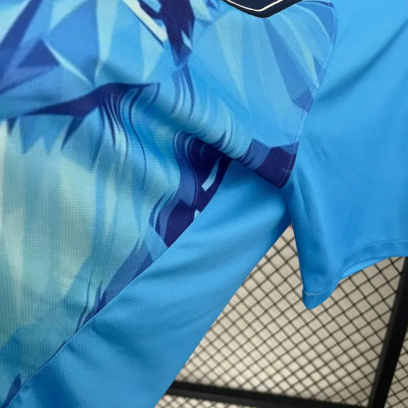 MAILLOT PAYS BAS CONCEPT 2024/2025 Onze Maillots