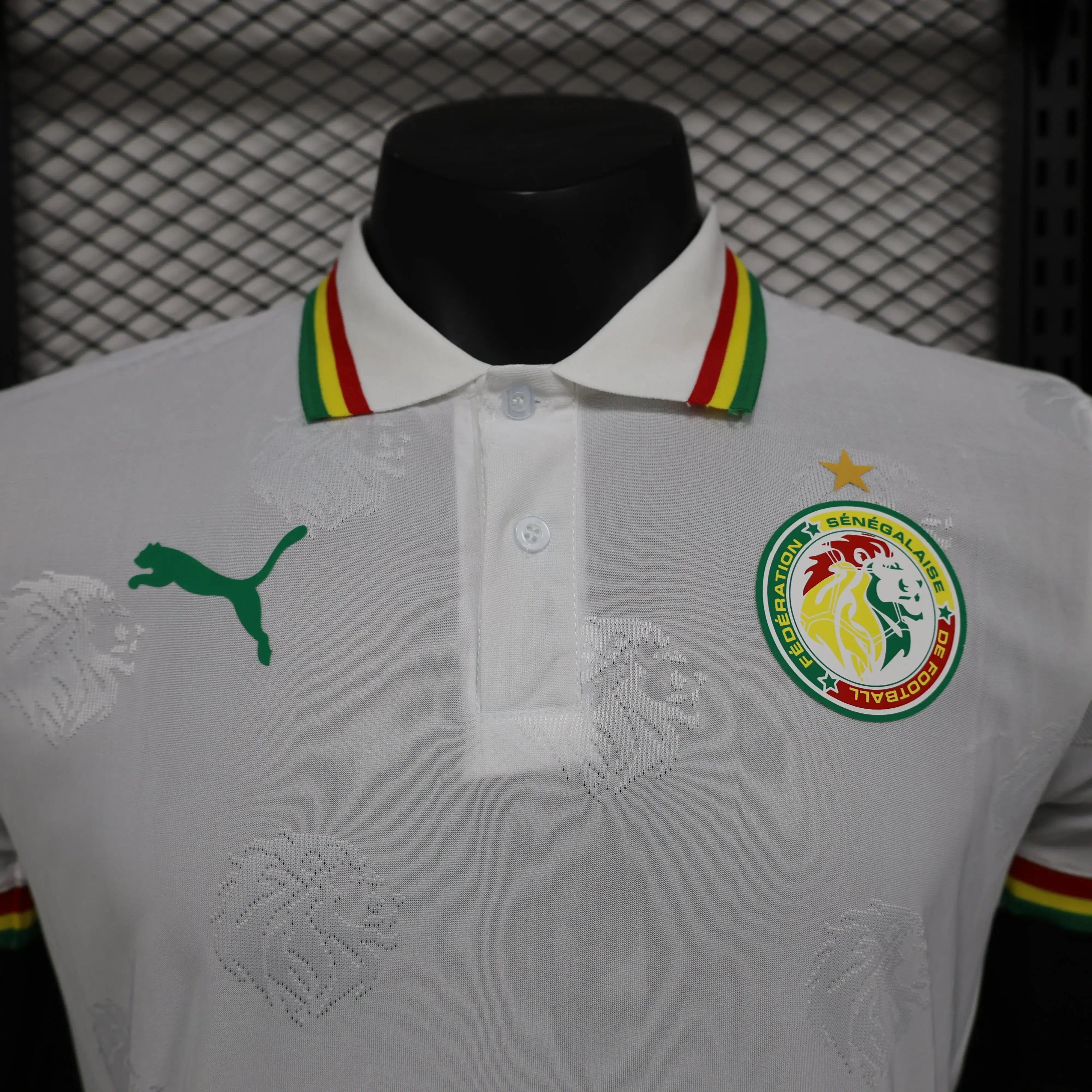 MAILLOT SENEGAL DOMICILE 2024/2025 - MODAFOOT