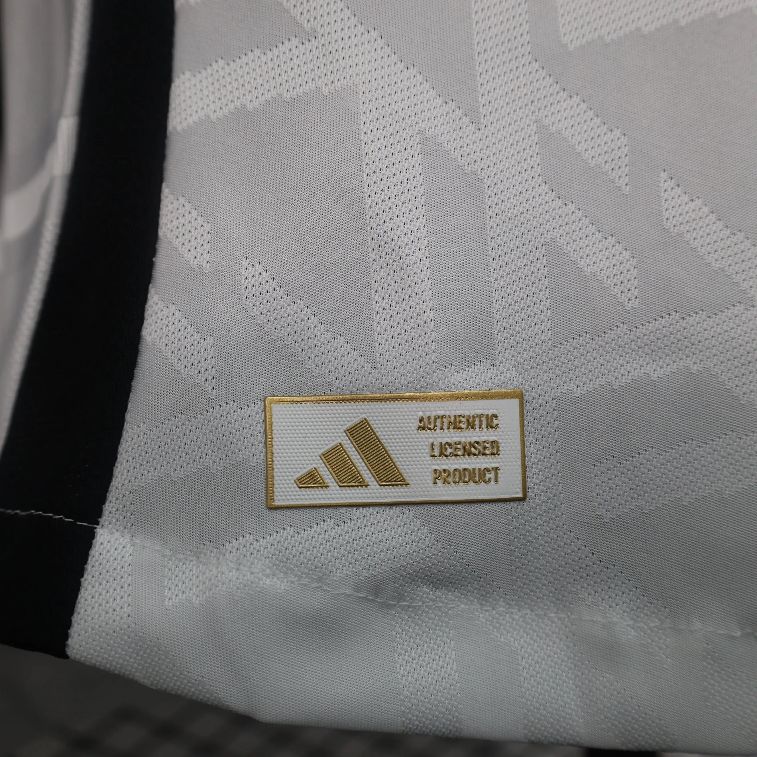 MAILLOT ALLEMAGNE DOMICILE 2024/2025 Onze Maillots