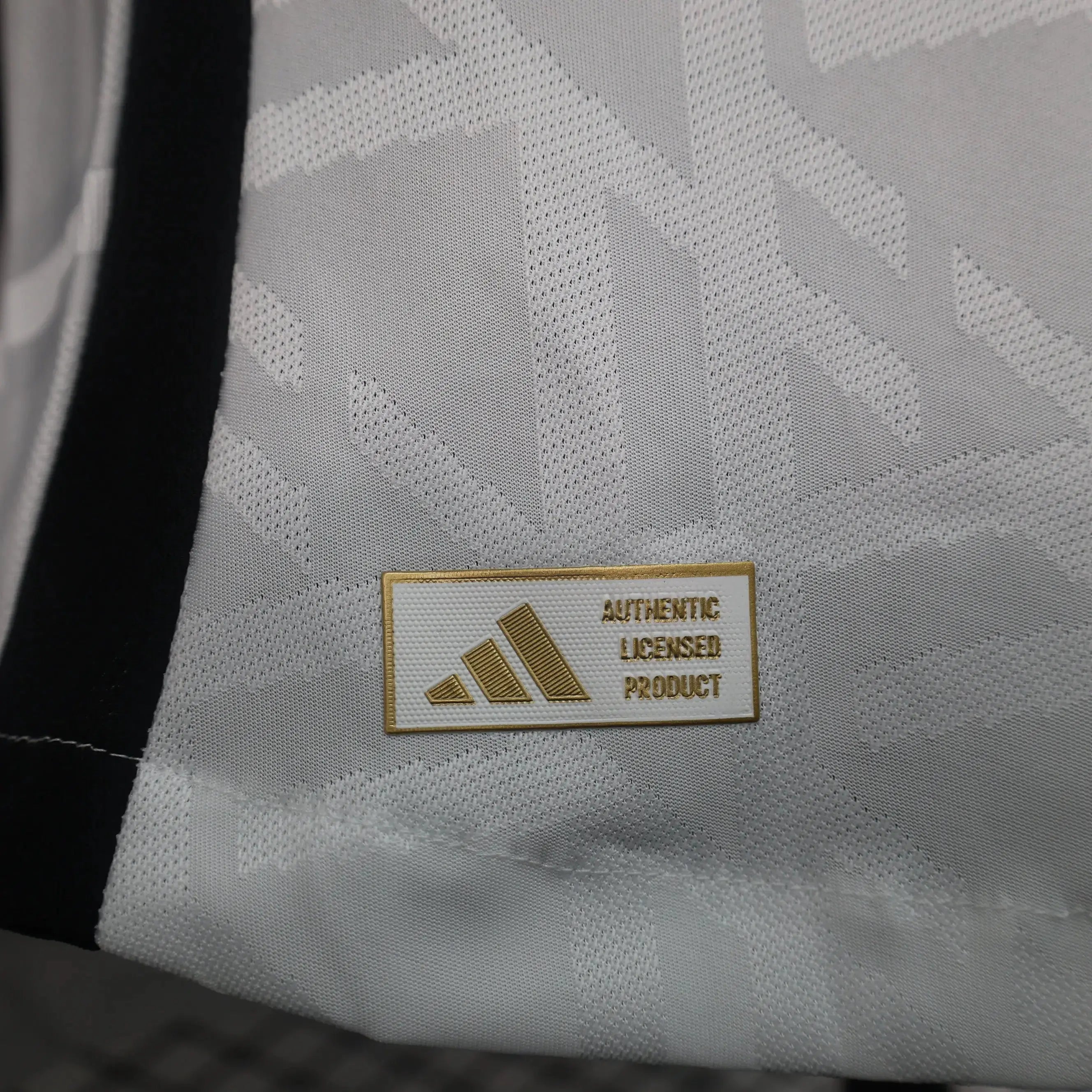 MAILLOT ALLEMAGNE DOMICILE 2024/2025 Onze Maillots