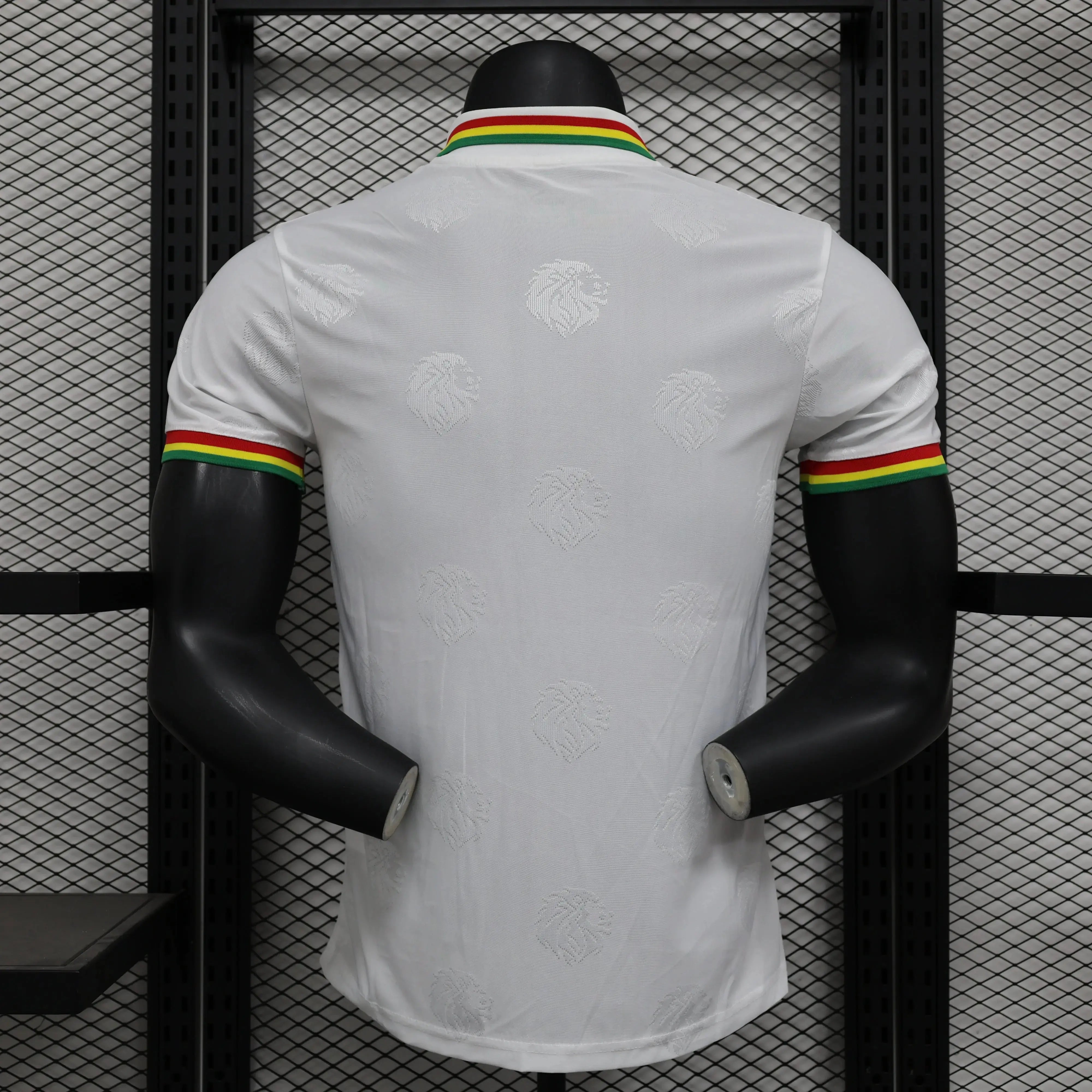 MAILLOT SENEGAL DOMICILE 2024/2025 - MODAFOOT