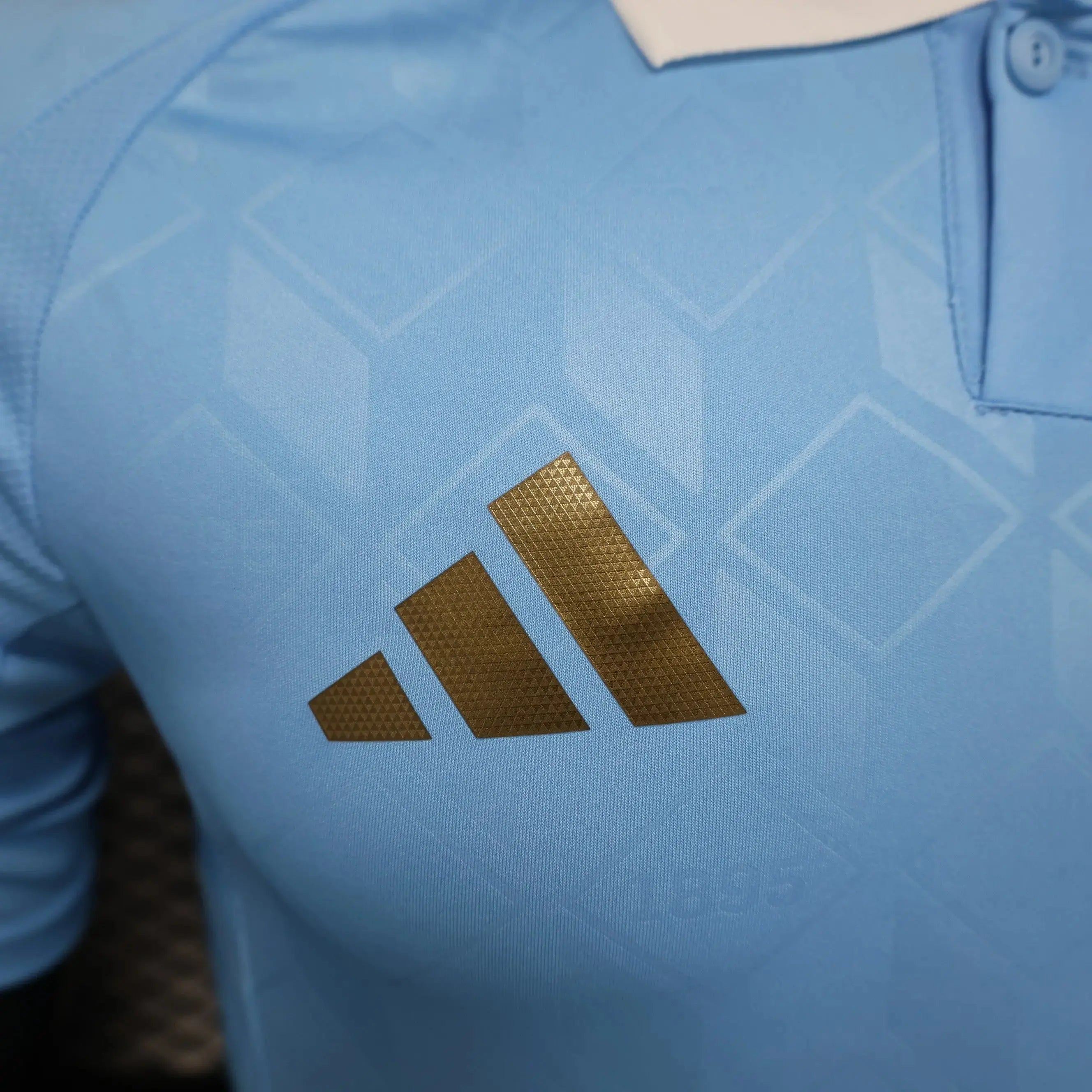 MAILLOT BELGIQUE EXTERIEUR 2024/2025 Onze Maillots