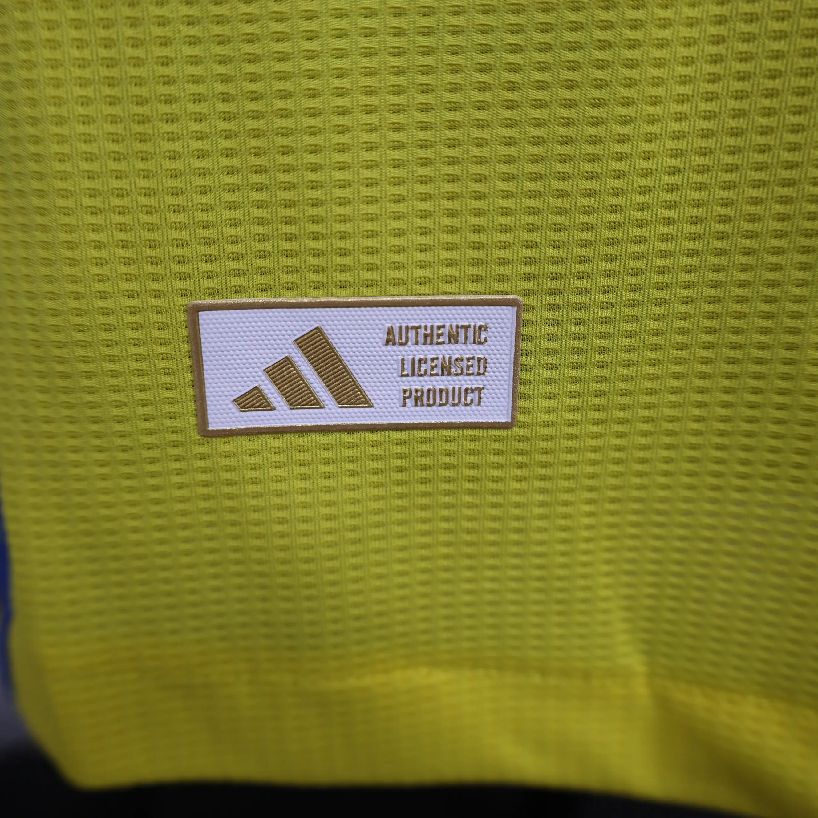 MAILLOT AL NASSR DOMICILE 2024/2025 Onze Maillots