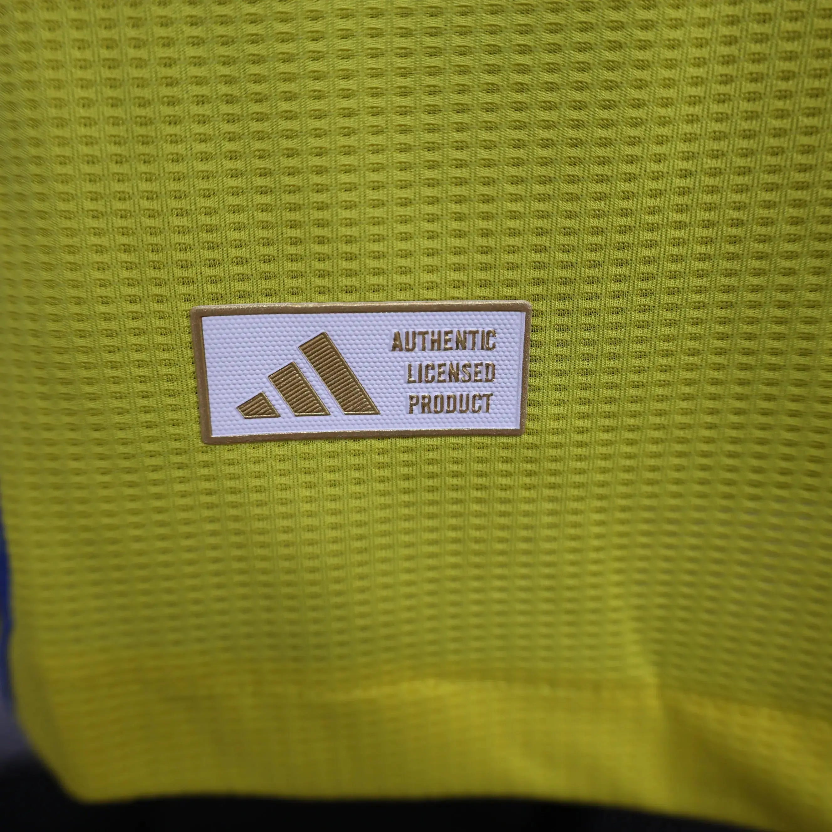 MAILLOT AL NASSR DOMICILE 2024/2025 Onze Maillots