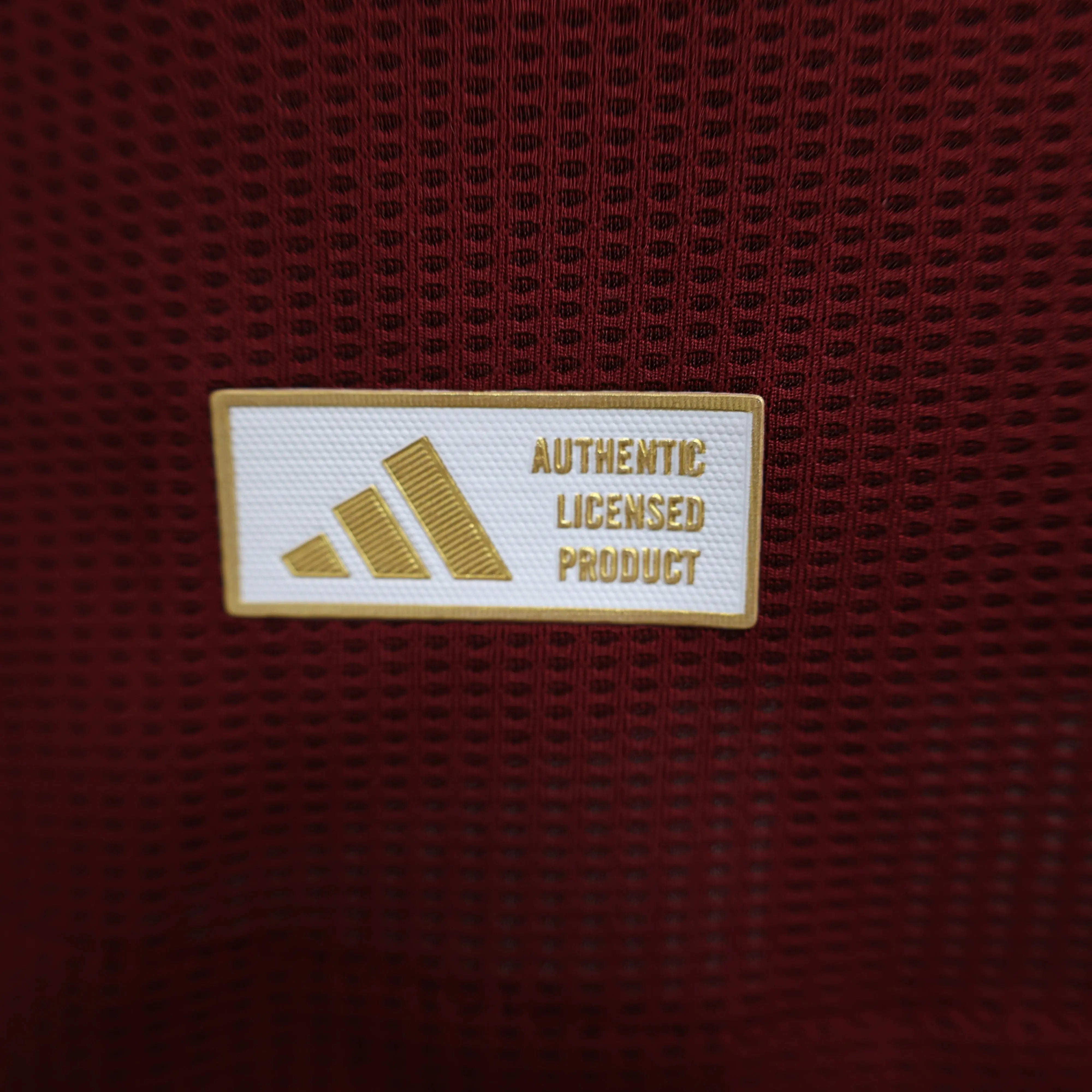 MAILLOT ASTON VILLA DOMICILE 2024/2025 Onze Maillots