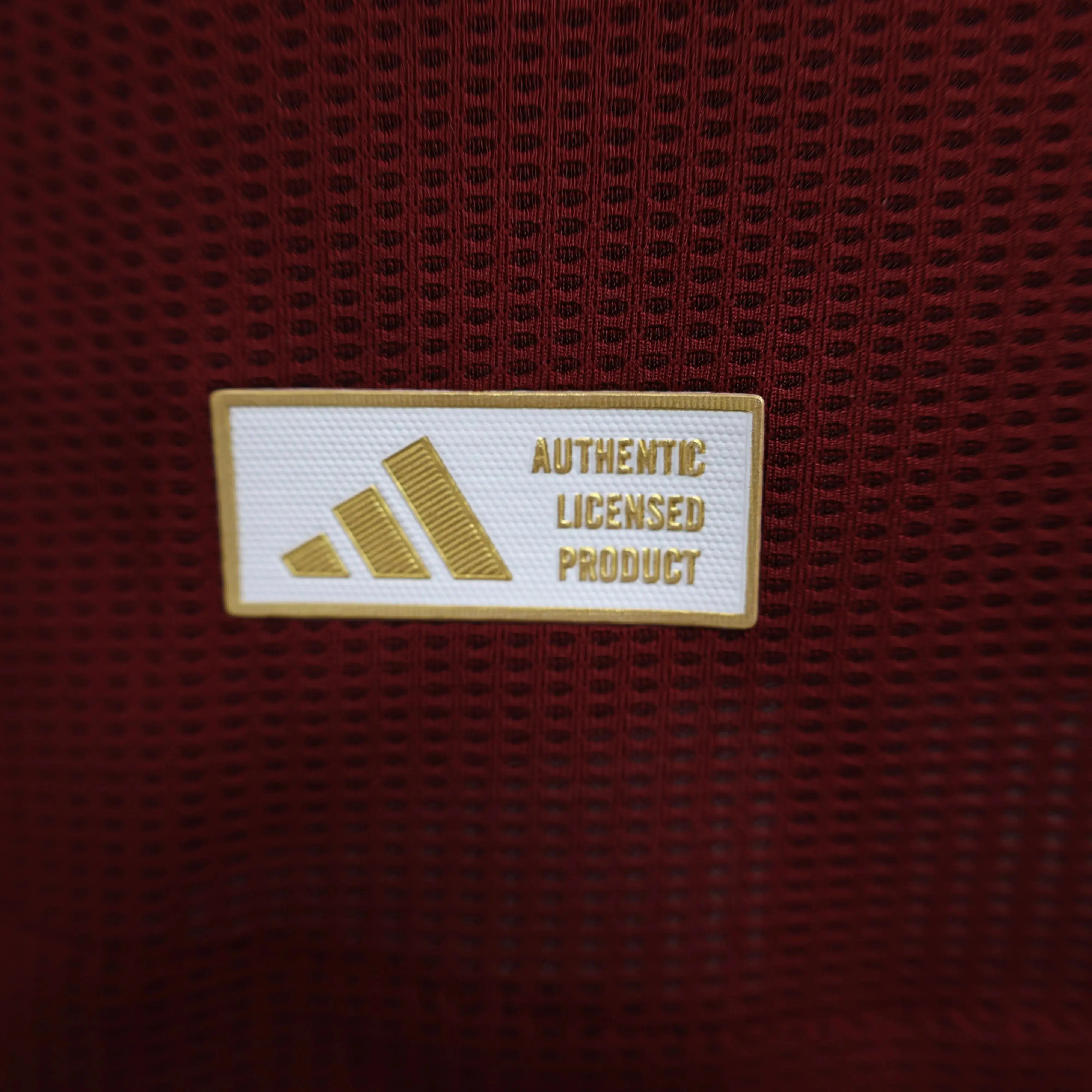 MAILLOT ASTON VILLA DOMICILE 2024/2025 Onze Maillots
