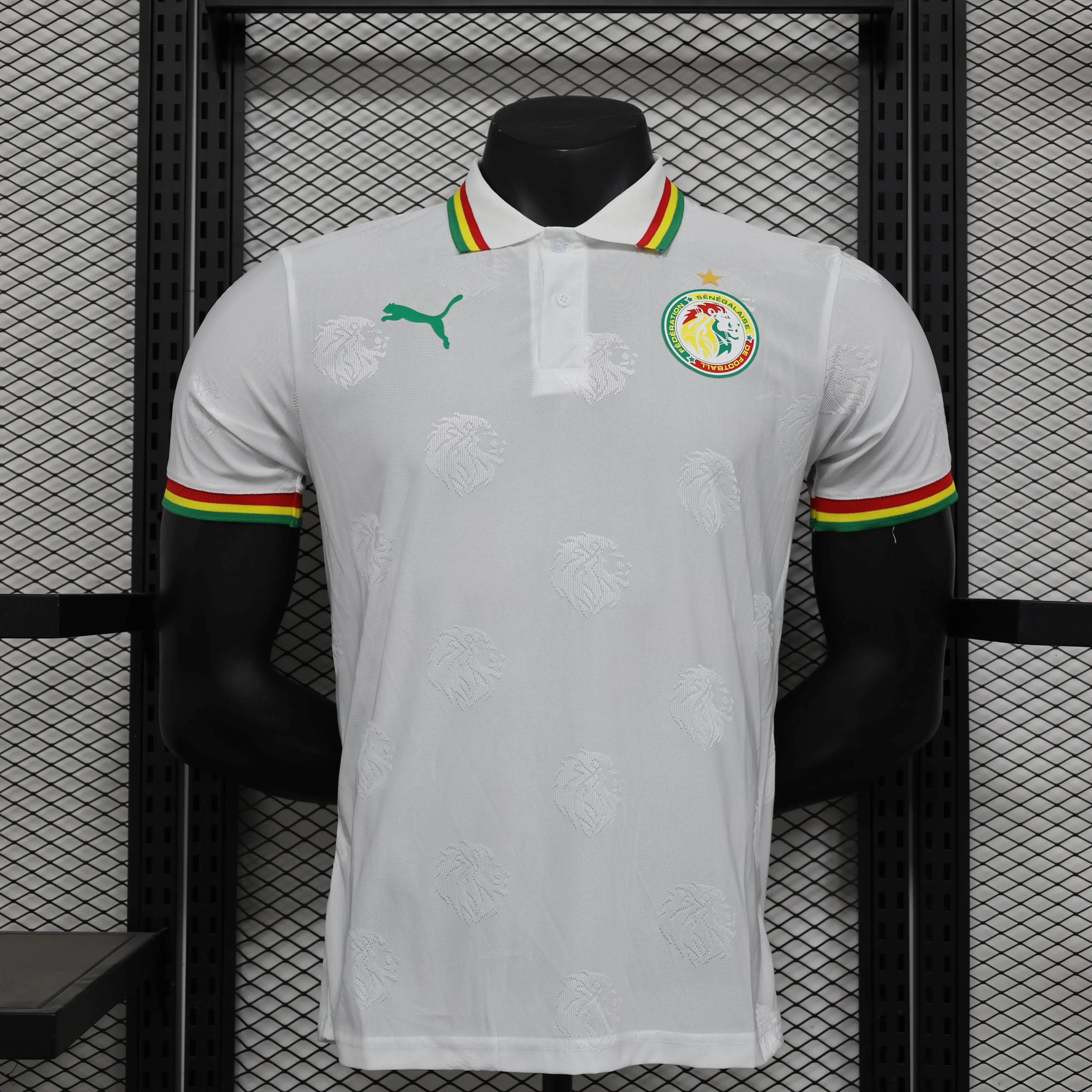 MAILLOT SENEGAL DOMICILE 2024/2025 - MODAFOOT