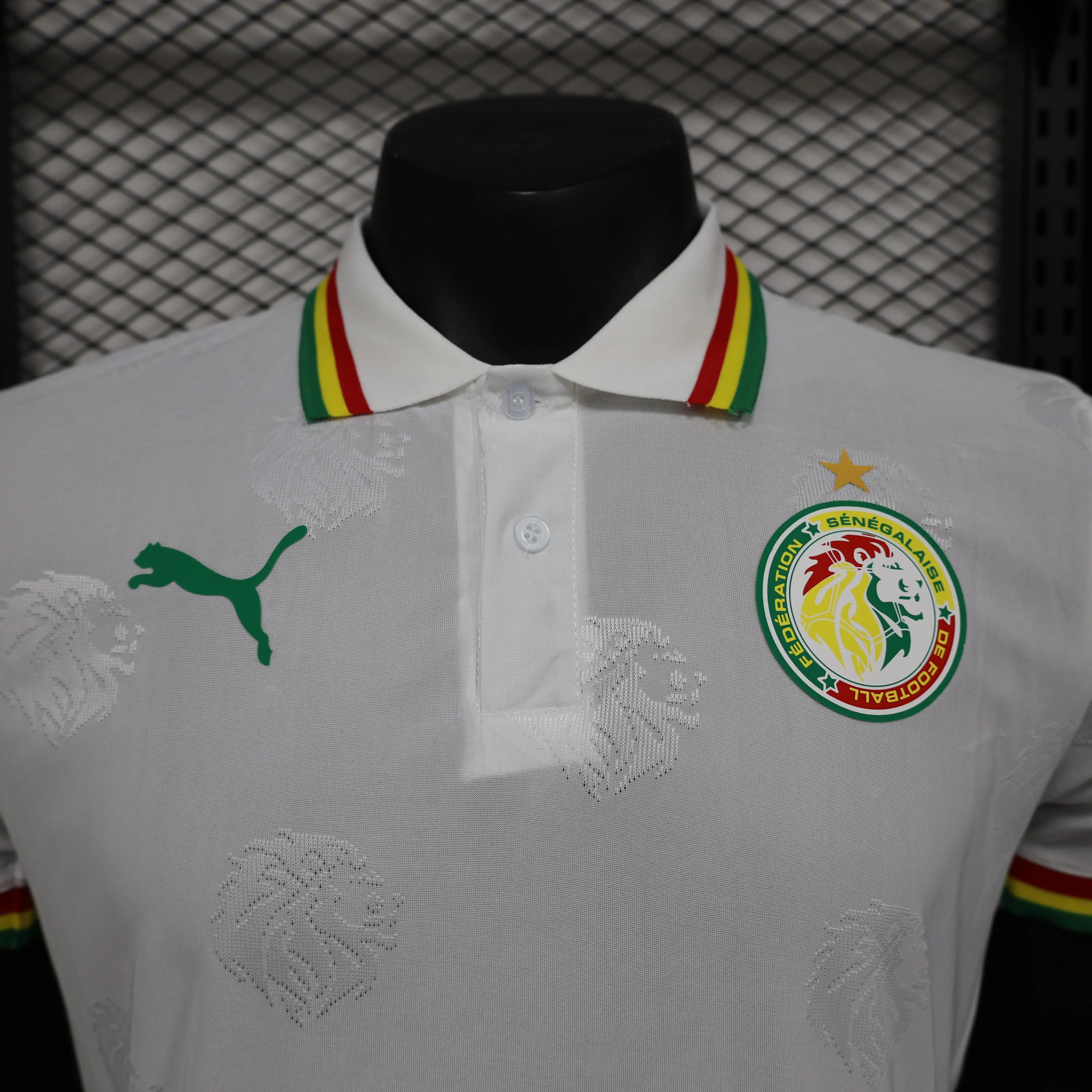 MAILLOT SENEGAL DOMICILE 2024/2025 - MODAFOOT