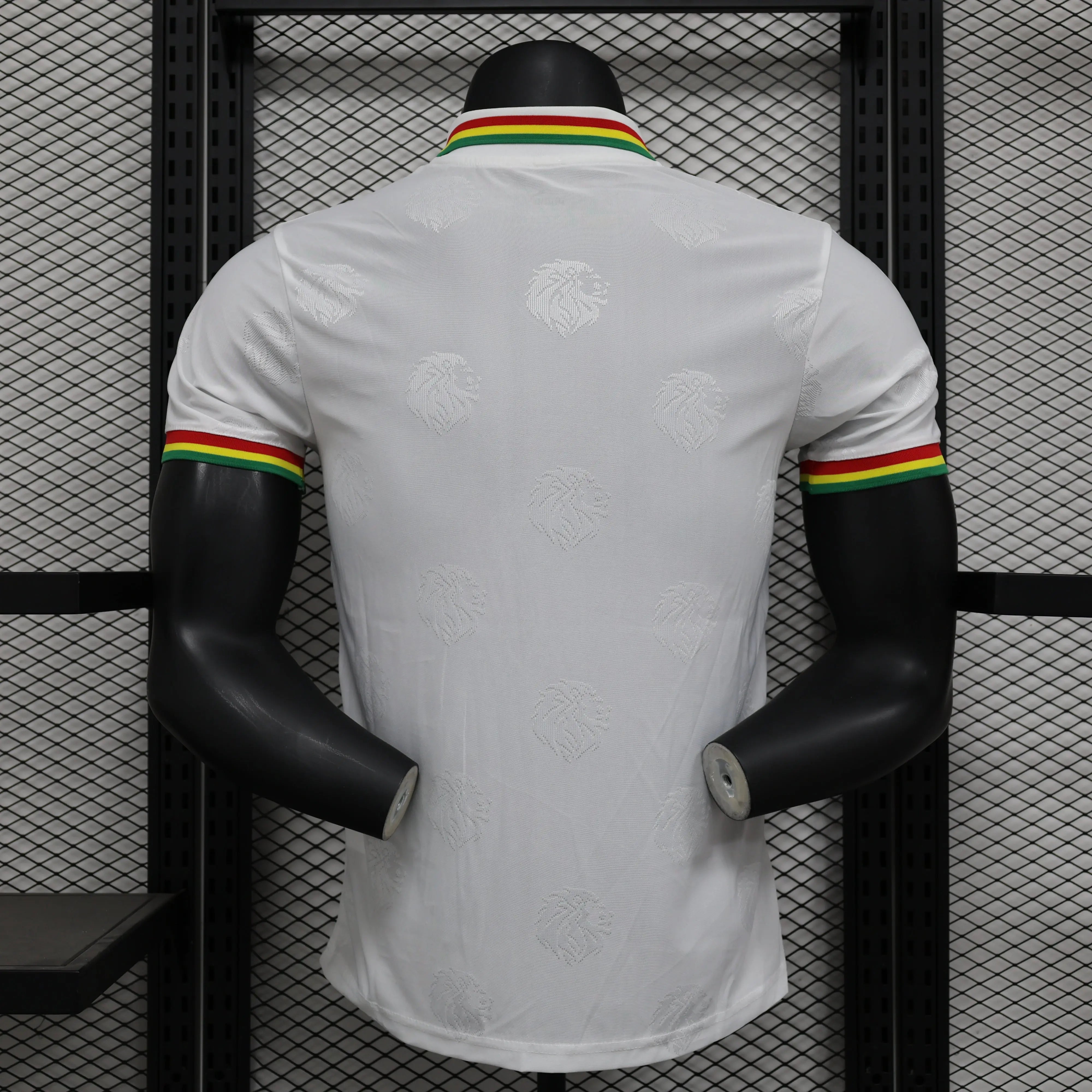 MAILLOT SENEGAL DOMICILE 2024/2025 - MODAFOOT